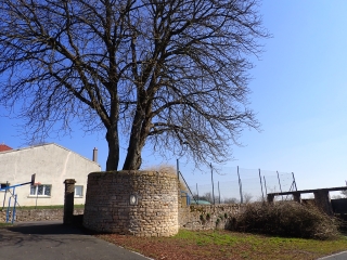 TINCRY ET SES FORETS-moselle