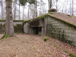 LA LIGNE MAGINOT AU BIESENBERG ET A LA MOOSBACHHALDE-moselle