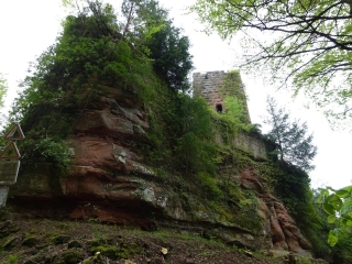 LES HAUTEURS DE PHILIPPSBOURG VERS LE CHATEAU DU GRAND ARNBOURG-moselle