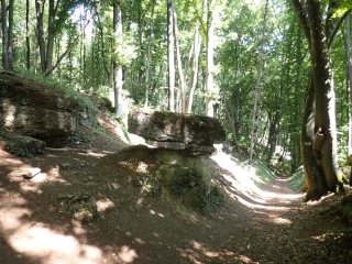 CROIX ST CLEMENT - FORET DOMANIALE DU GRAOULLY - VERGERS D ANCY ET PIERRE QUI TOUR-moselle