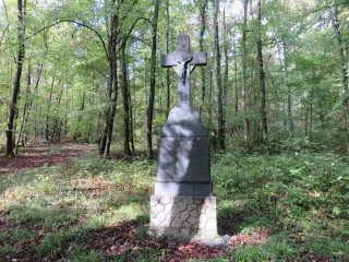 BALADE AU DEPART DE LA GARE DE WOELFLING DANS LE BOIS DE BLIESBRUCK-moselle