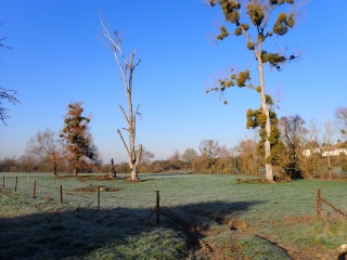 MONTREQUIENNE  - AUTOUR DES MARDELLES-moselle