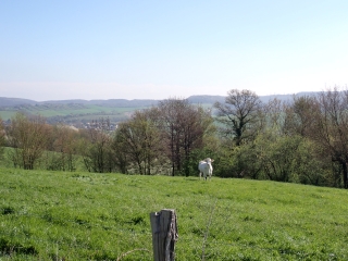 BETTELAINVILLE - ALTROFF-moselle