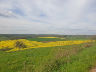 LEMESTROFF - LE CHEMIN D UDERA-moselle