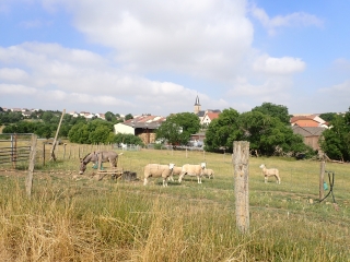 PONTOY (BOUCLE DU BOIS MARSAL)-moselle