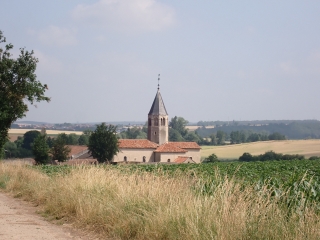 PONTOY (BOUCLE DU BOIS MARSAL)-moselle