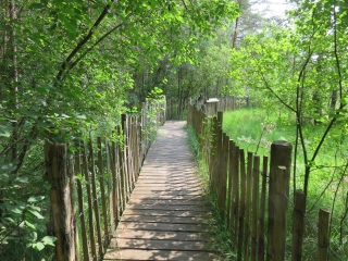 LA TOURBIERE DE L ETANG DE HANAU-moselle