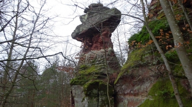 BAERENTHAL - PHILIPPSBOURG-moselle