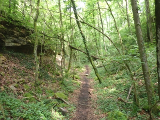 VAUX- JUSSY - BOIS DE VAUX ET PELOUSES CALCAIRES-moselle