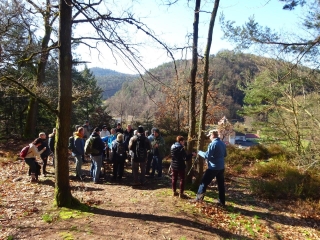 BALADE SUR LES HAUTEURS DE PHILIPPSBOURG