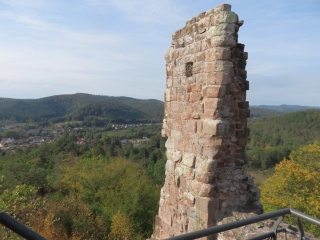 UNE BALADE SUR LES HAUTEURS DE BAERENTHAL-moselle