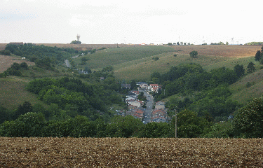 FORET DE RANGUEVEAUX-moselle