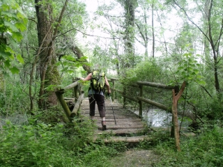 VAUX - MARAIS DU GRAND SAULCY-moselle