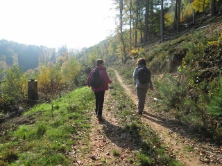 LE GRAND ARNSBOURG -moselle