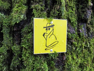 LE SPURNASENWEG AUTOUR DE ALTHORNBACH-moselle