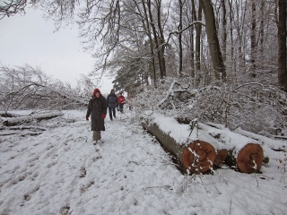 LE SPURNASENWEG AUTOUR DE ALTHORNBACH-moselle