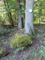 BALADE SUR LES HAUTEURS DE SAINT-AVOLD-moselle