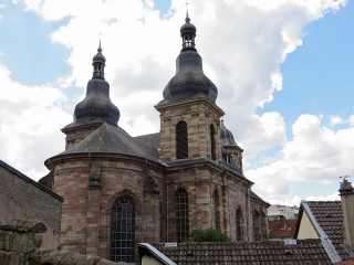 BALADE SUR LES HAUTEURS DE SAINT-AVOLD-moselle