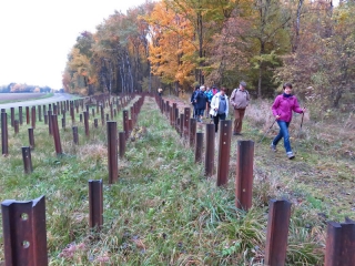 LA LIGNE MAGINOT - L OUVRAGE ET LES BLOCS DE COMBAT DU SIMSERHOF