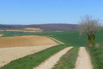AUTOUR DE VIGNOL - NUARS - METZ-LE-COMTE-nievre