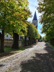 BREVES - DORNECY - BREVES-nievre