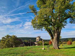 BREVES - DORNECY - BREVES-nievre