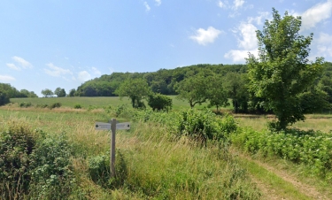 LIMON - PAR LES BOIS DE LIMON-nievre