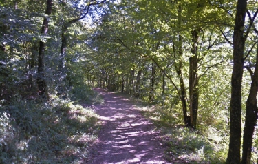 SAINT-BENIN-D’AZY – LES BOIS D’AZY-nievre