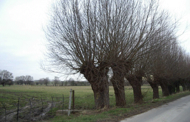 Boucle autour de Gruson-nord