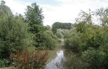 Le Marais  (Fenain).-nord