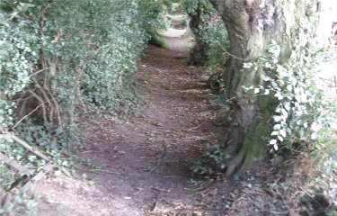 Circuit des ecoliers - Obrechies  -nord