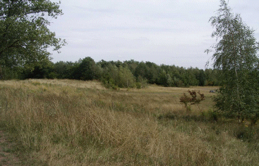 Circuit des anciennes carrieres et du Viel Escaudain-nord