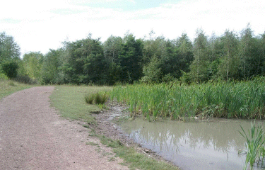 Circuit des anciennes carrieres et du Viel Escaudain-nord