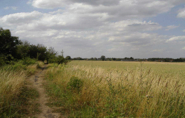 Circuit des 3 clochers ( Hornaing)-nord