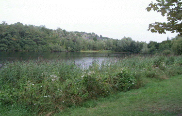 Circuit de la Canarderie-nord