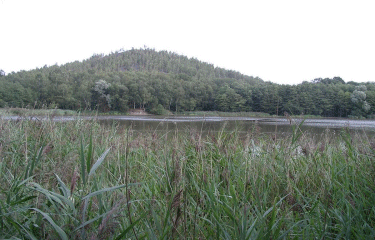 Circuits de Sabatier-nord