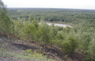 Circuits de Sabatier-nord