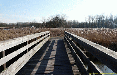 MARAIS DE BONANCE-nord