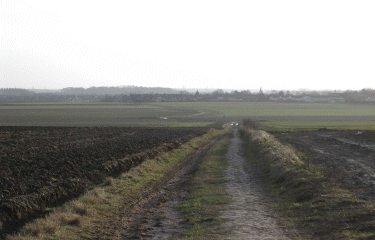 Parcs urbains - Faches-Thumesnil-nord