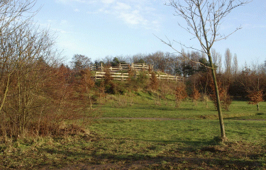 Parcs urbains - Faches-Thumesnil-nord