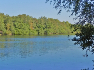 VALLEE DE LA SENSEE-nord