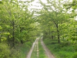CAMBRESIS-nord