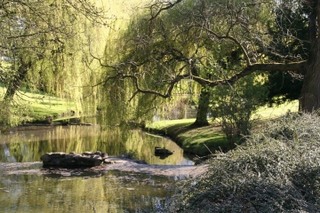 ROUBAIX - LAC DU HERON-nord