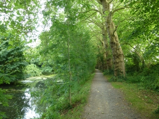 PARC DE LA DEULE-nord