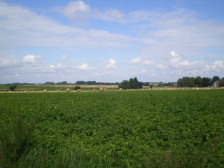 HERGIES-nord