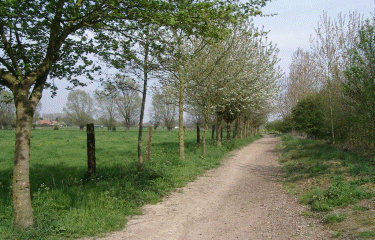 Circuit Aigremont.-nord