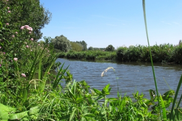 BUYSSCHEURE - DU BOCAGE AU MARAIS-nord