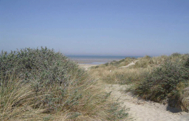 Trois circuits de Bray-dunes-nord