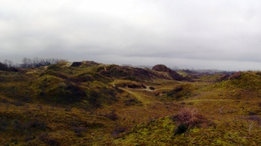 MASSIF DUNAIRE FRANCO-BELGE-nord