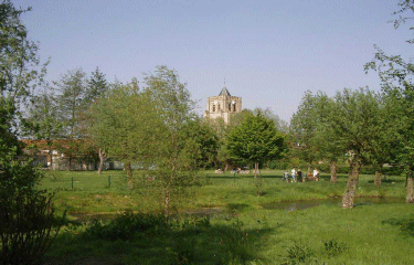Circuit du moulin de la Briarde.-nord